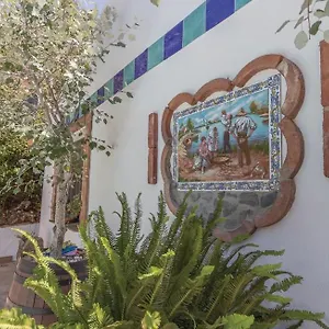 Burros Tolatán