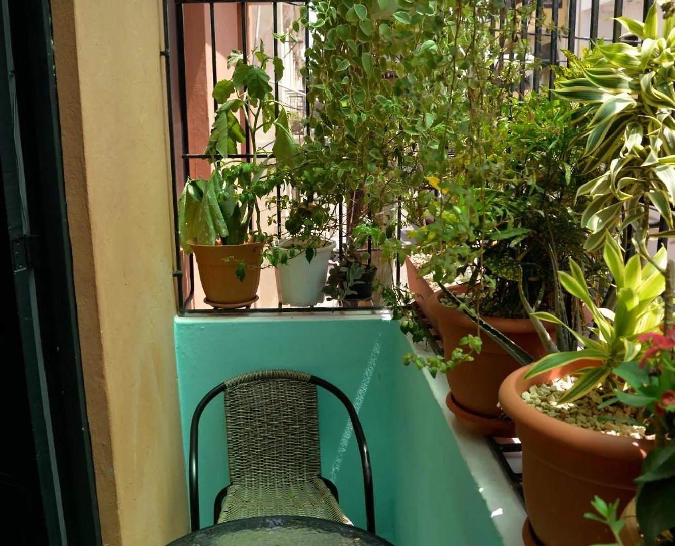 Hostal Mi Rincón Santo Domingo República Dominicana