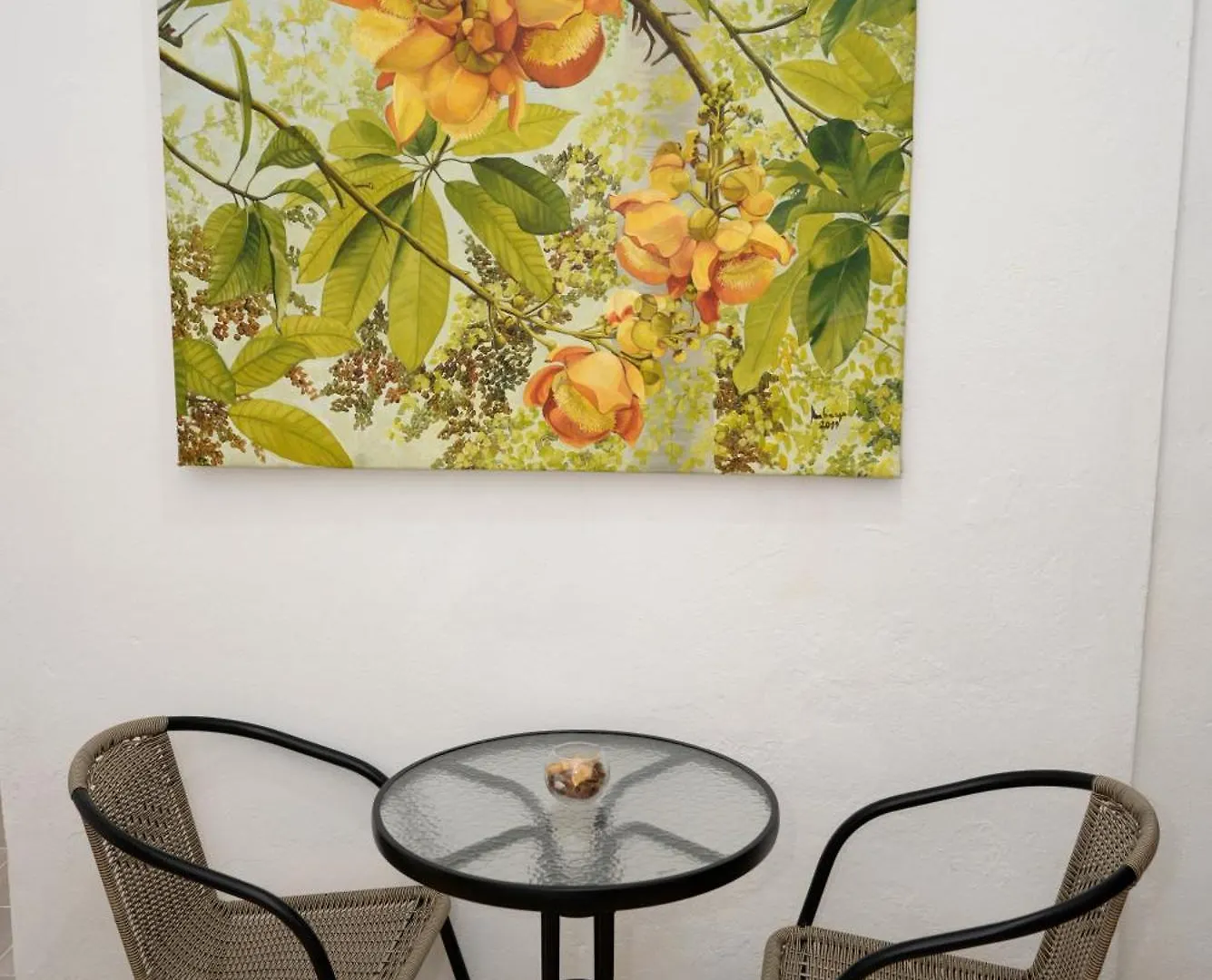 Pensión Hostal Mi Rincón Santo Domingo República Dominicana